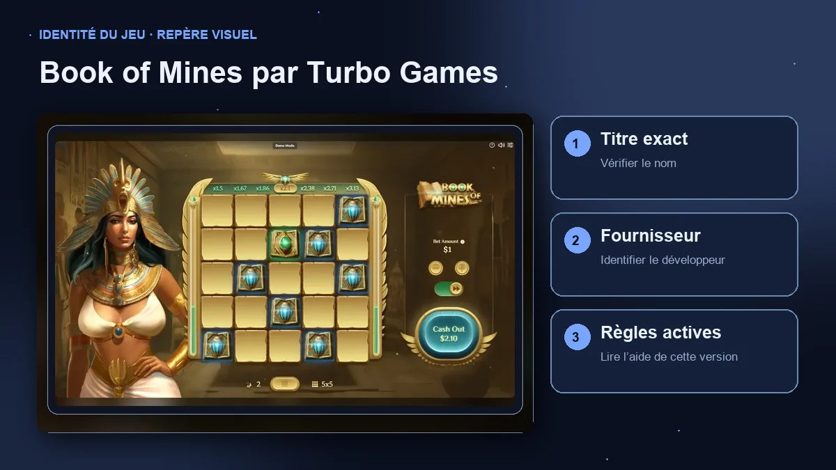 Book of Mines par Turbo Games : interface avec vérifications du titre, du fournisseur et des règles.